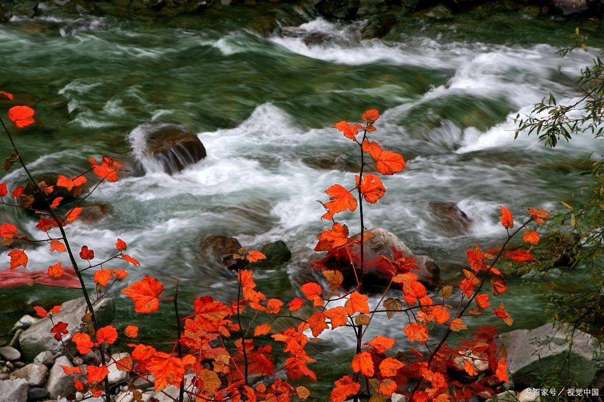 稻城亚丁差评视频,稻城亚丁真实的评价