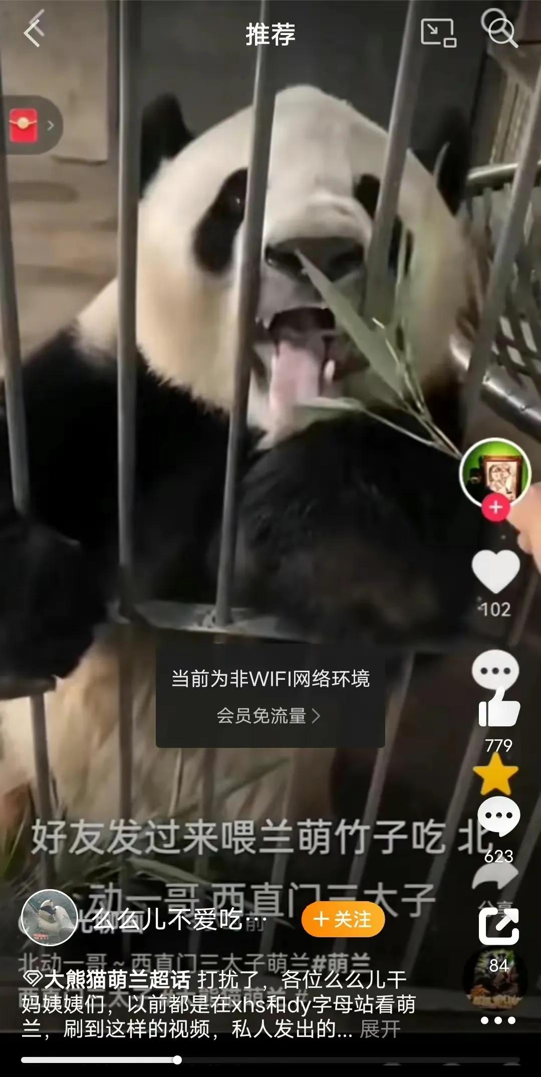 大熊猫萌兰内场违规被爆？