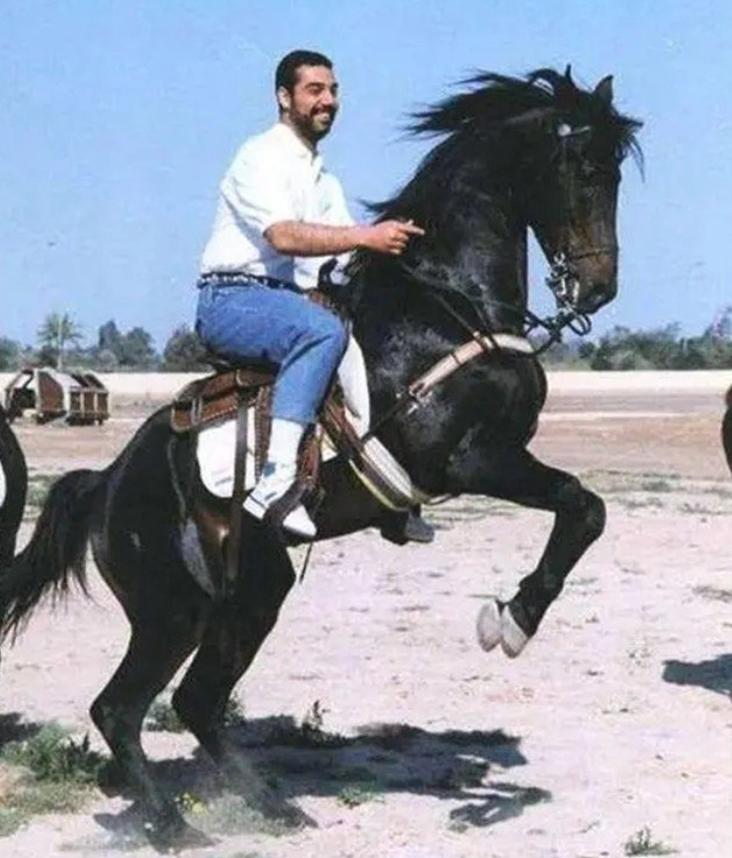 萨达姆的替身,萨达姆替身最后结局