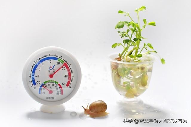 室温达到18度,温度低于35度怎么快速升温