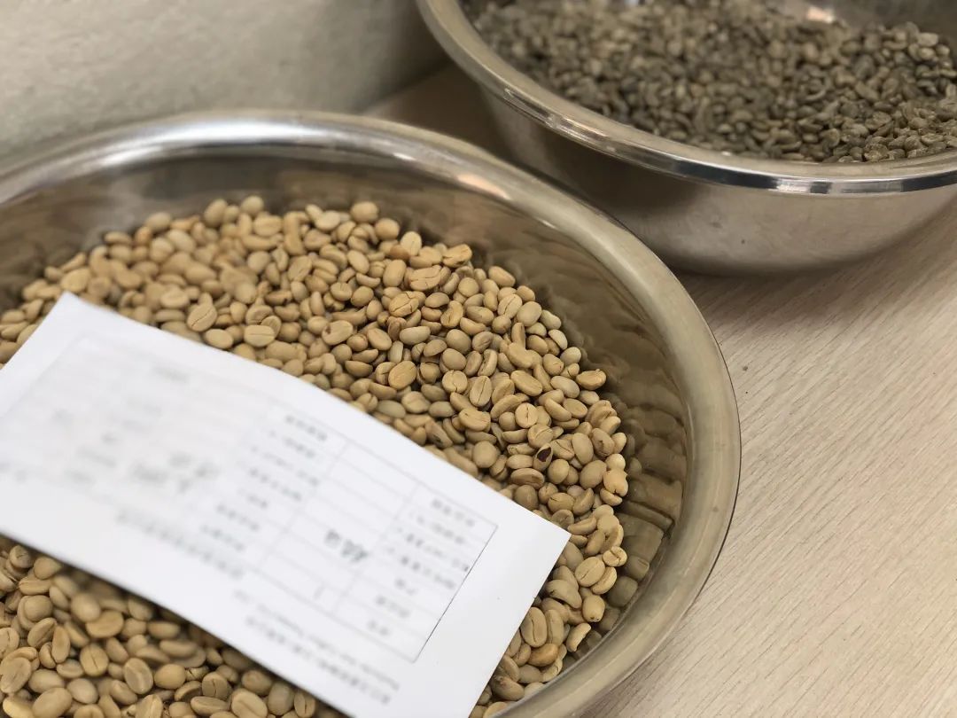 云南咖啡的品质提升是如何实现的,星巴克单一产区云南咖啡