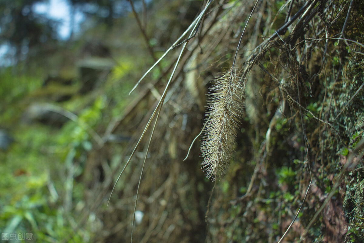 福建省超龄工伤最新赔偿标准,矽肺职业病赔偿明细表