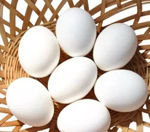 鸡蛋壳颜色与营养,鸡蛋壳是红壳还是白壳好