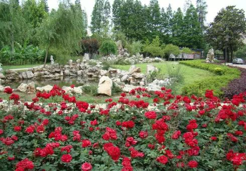 武汉有几所百年中学,武汉前10中学