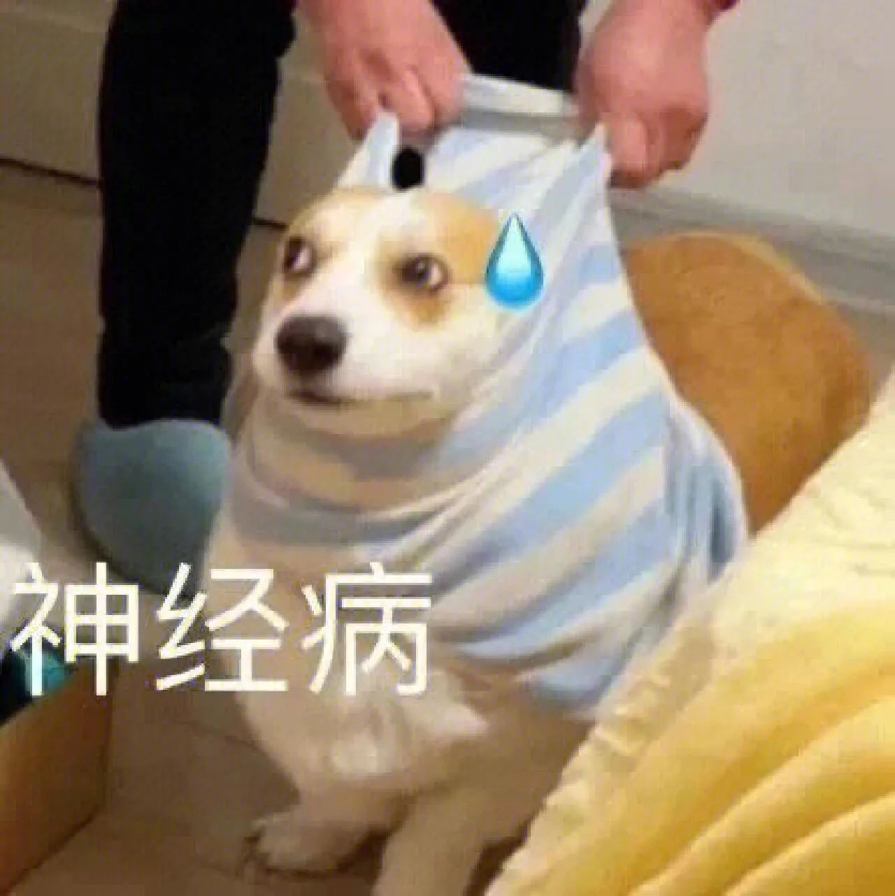 肯德基表情,表情吃东西