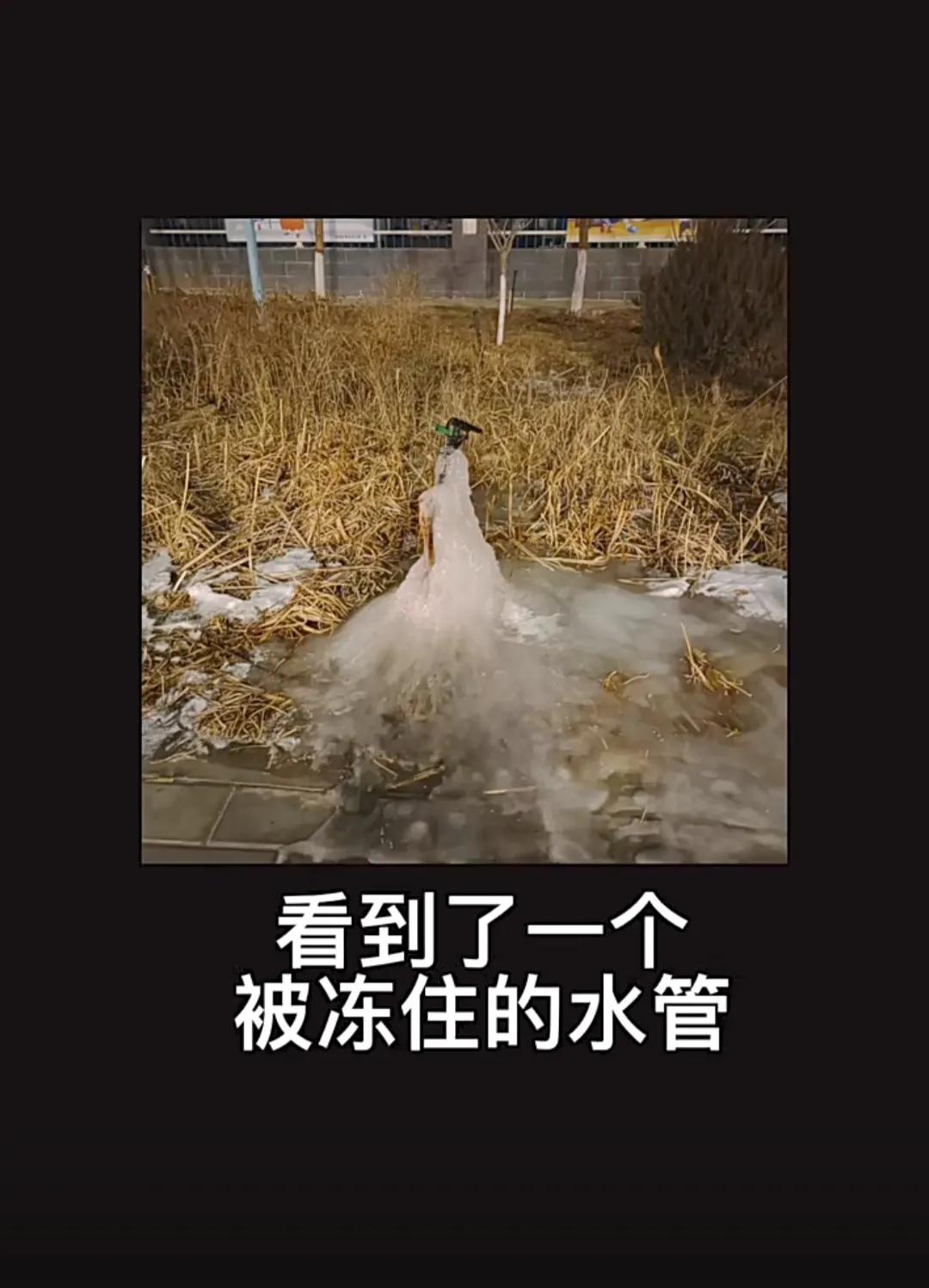 万物皆有灵厉害视频,万物皆有灵性真的不可思议