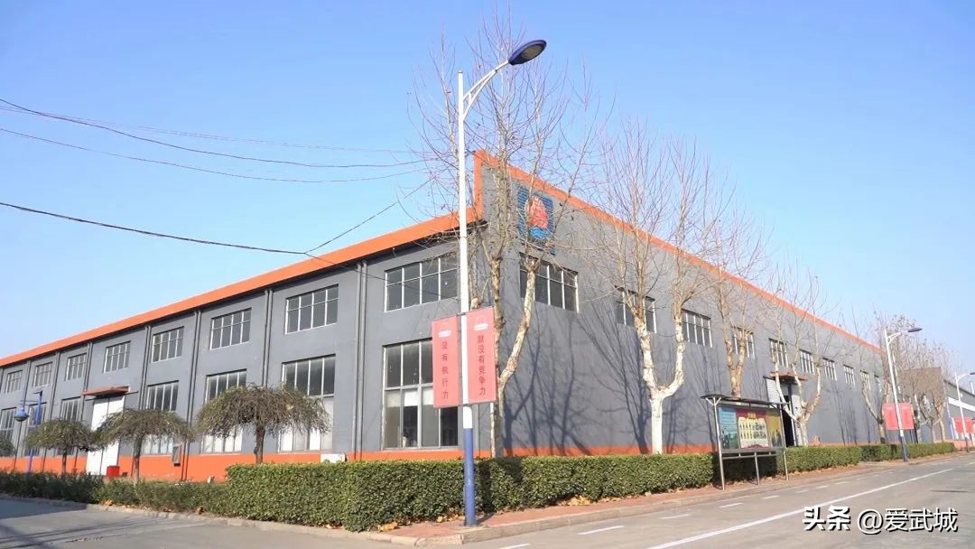 打好全年“收*战官**”！武城这样做……