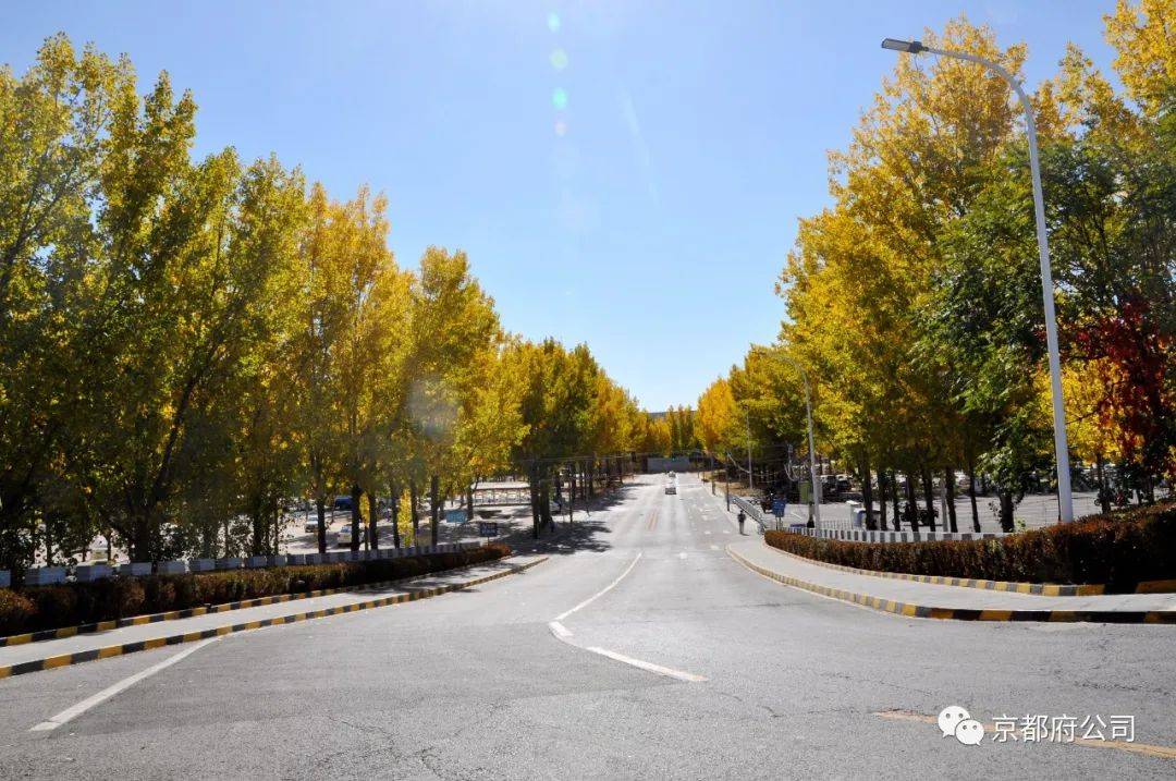 科目二考试的实用技巧和经验,科目二考试有哪些容易通过的技巧