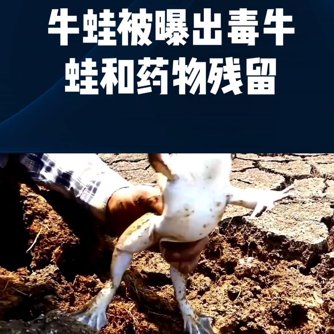 水产养殖创业,海南水产养殖创业项目申报