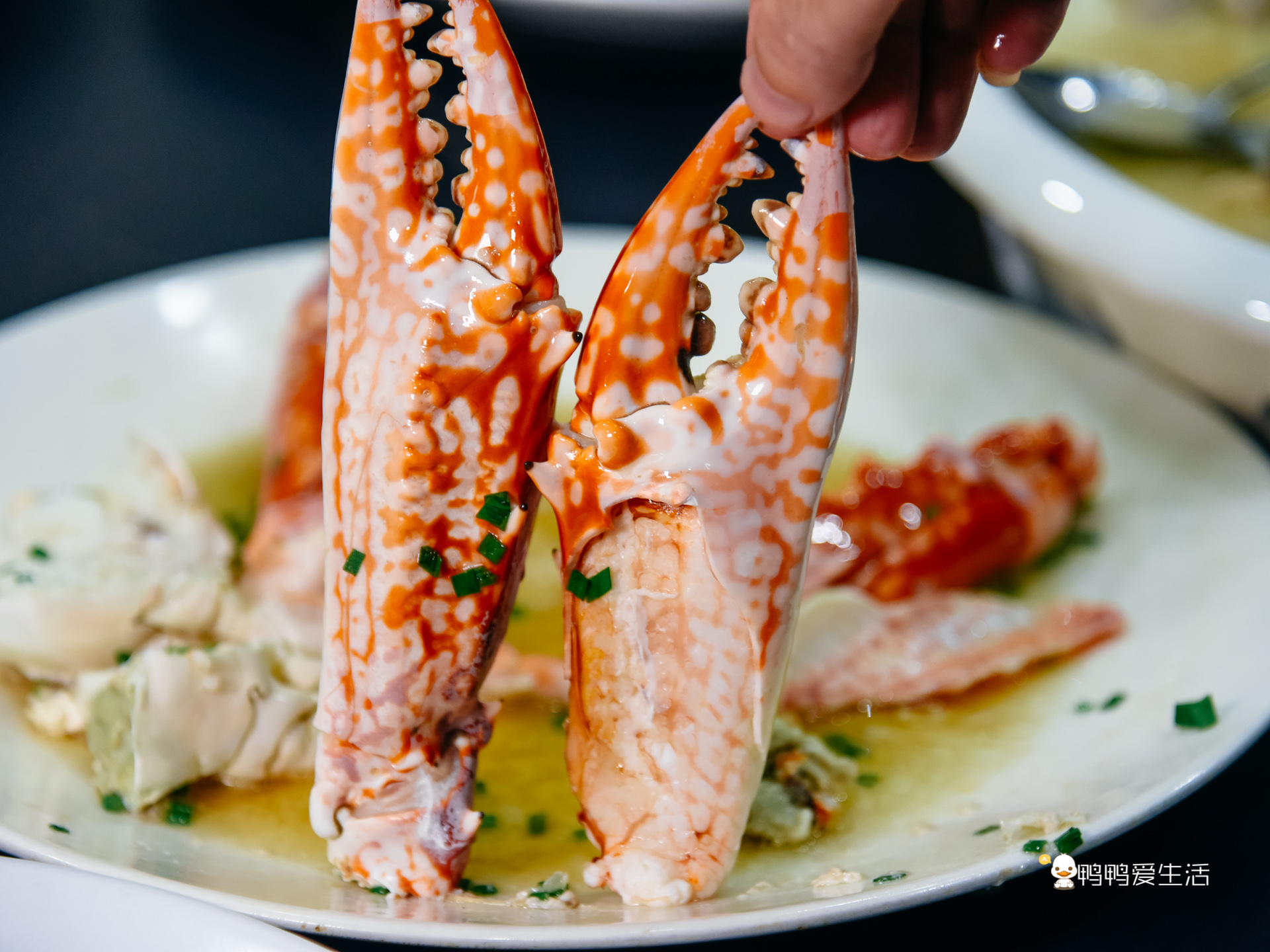 老厦门人都知道的四里建兴，开业近40年，红花蟹还能一蟹六吃