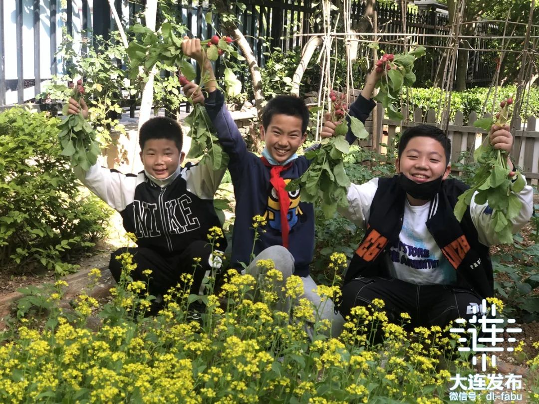 大连这所小学始建于1950年，向全国展现“传承的力量”