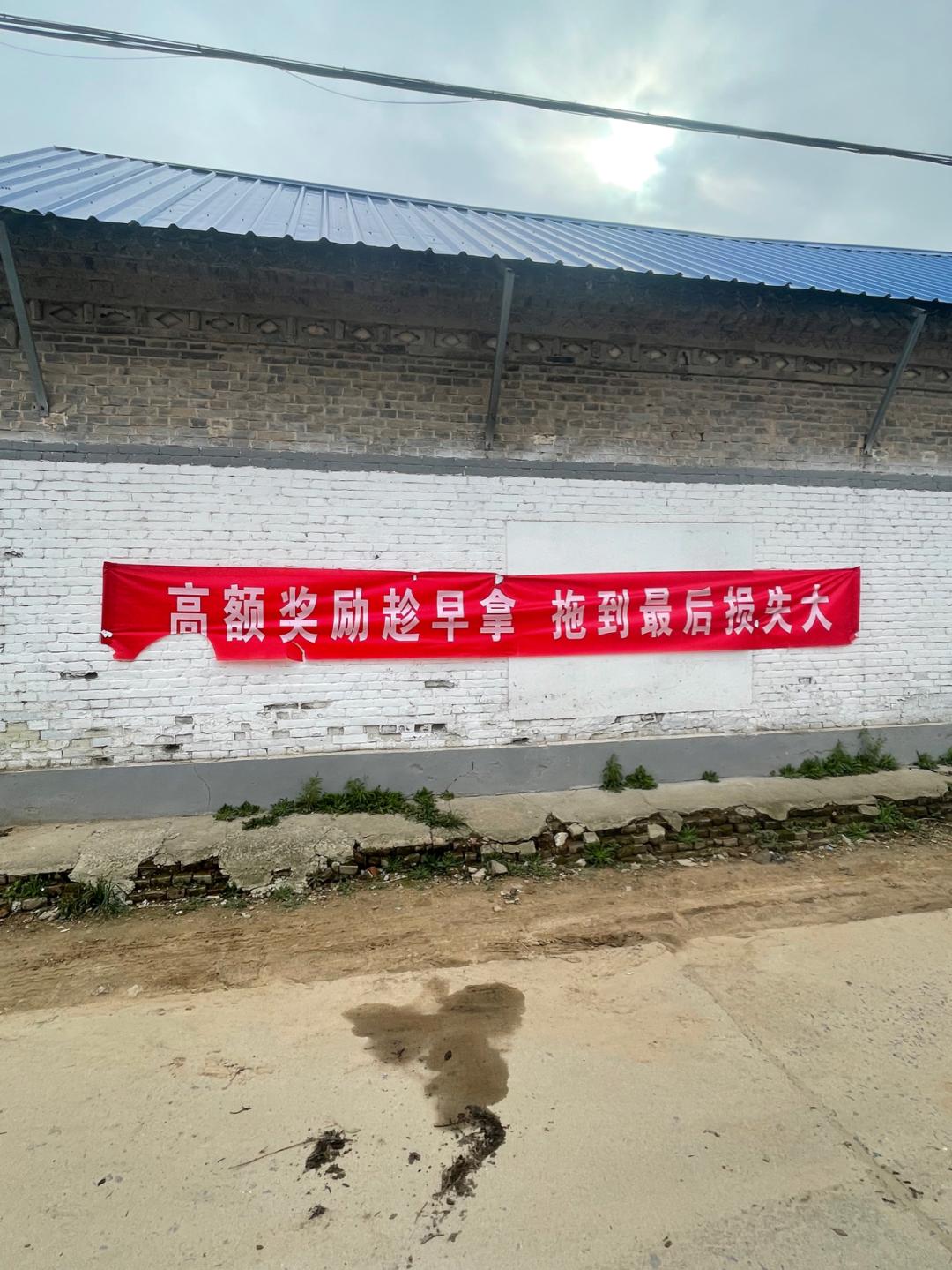 董董骑行山东,懂懂骑山东