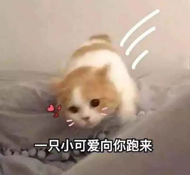 为什么不能透过门缝偷看,为什么不能透过窗户看见里面