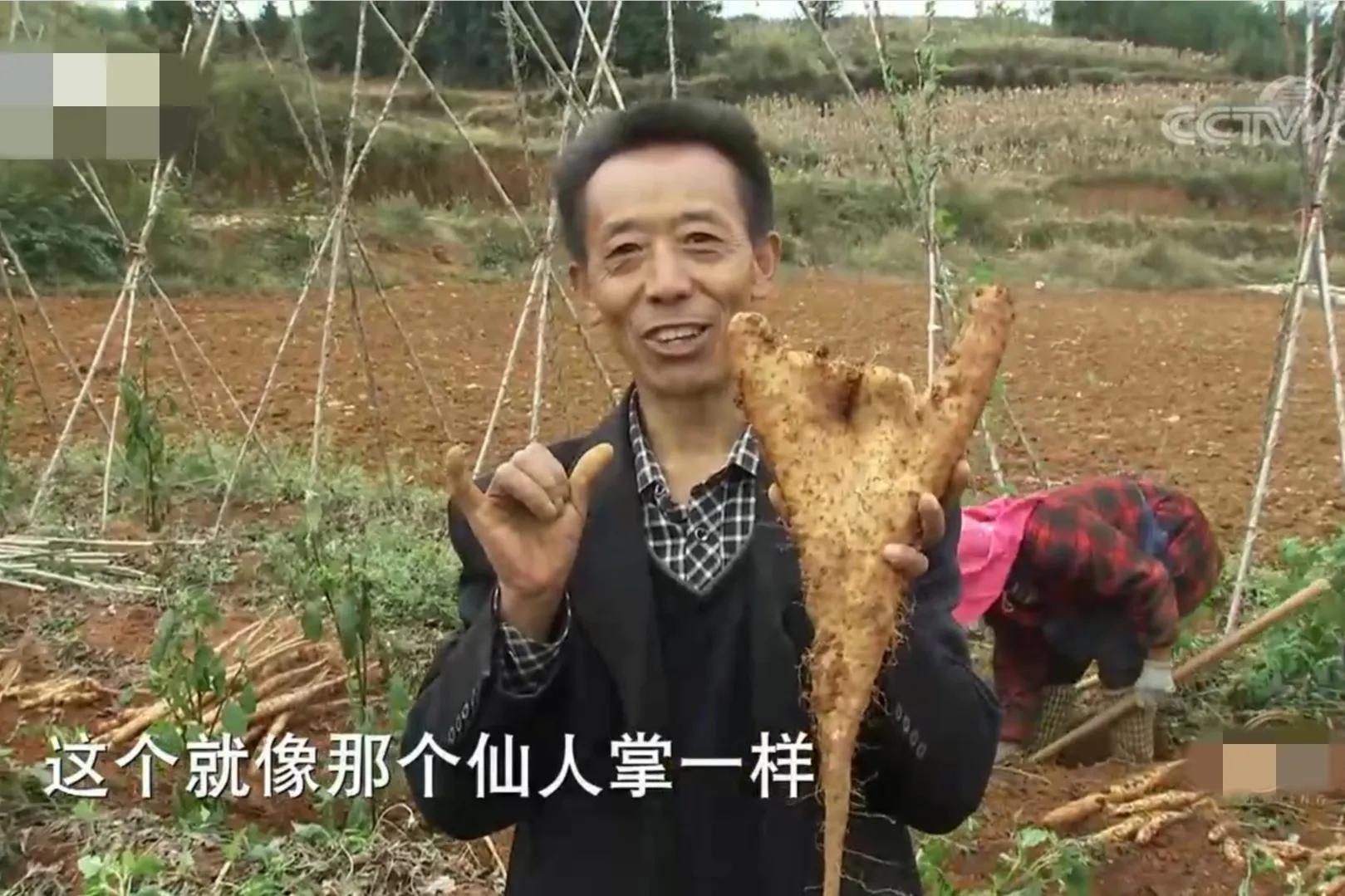 农村小伙承包400多亩地,小伙承包500亩地种特产如今暴富