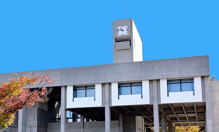 火山爆发人们怎么办,对火山爆发的防护与自救