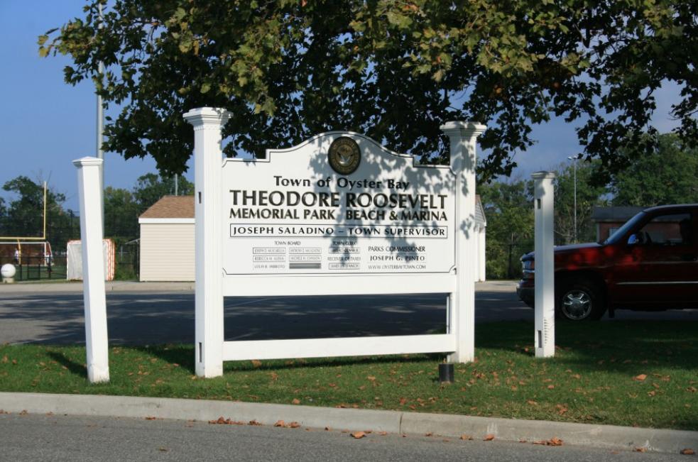 视得乐夜鹰白天适合观看吗,视得乐夜鹰854