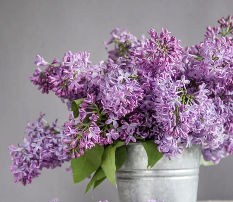 你有没有埋怨过自己的父母没钱,你们有没有嫌弃过自己父母