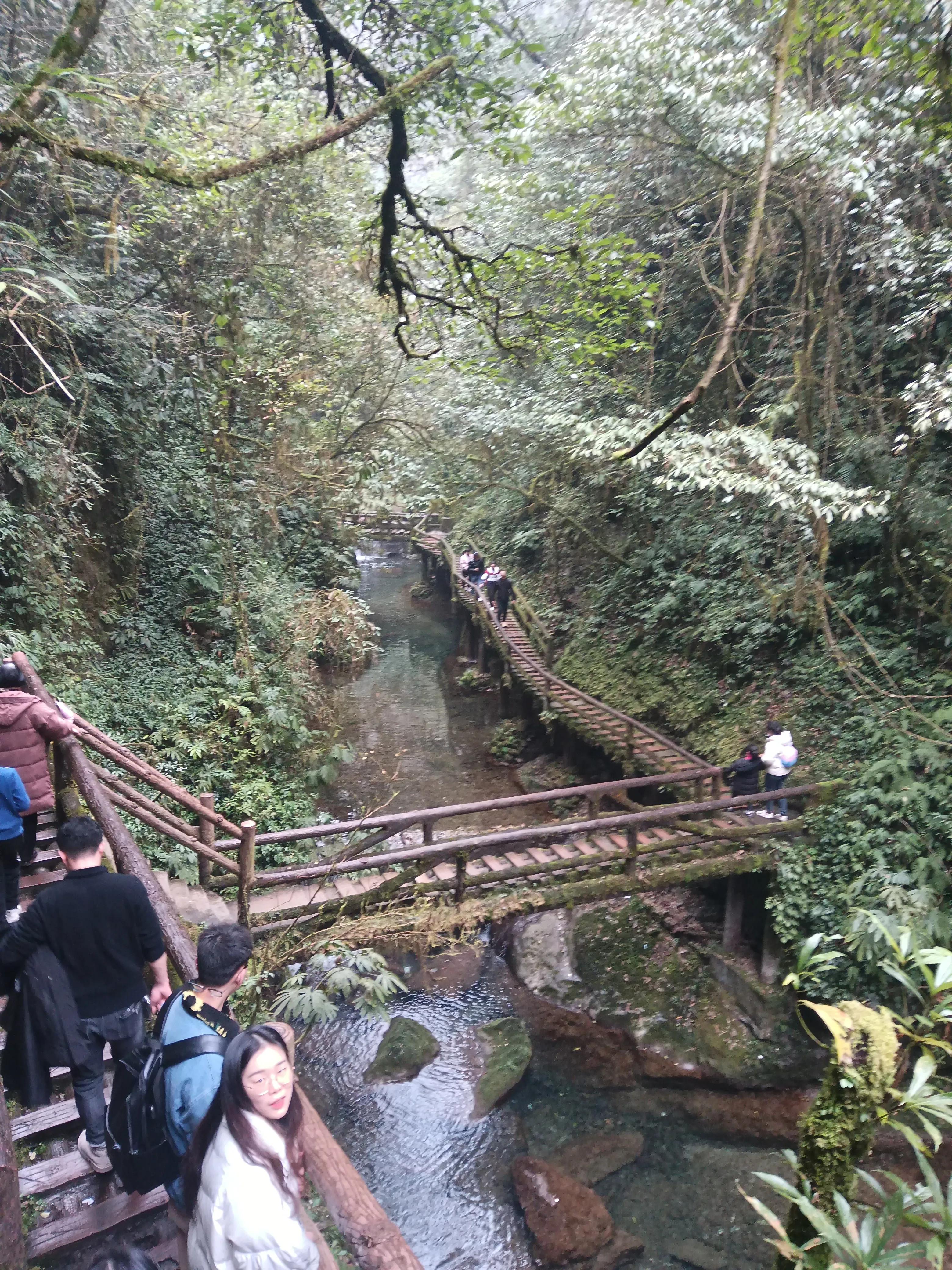 泰安古镇到青城后山,青城后山景区导览图