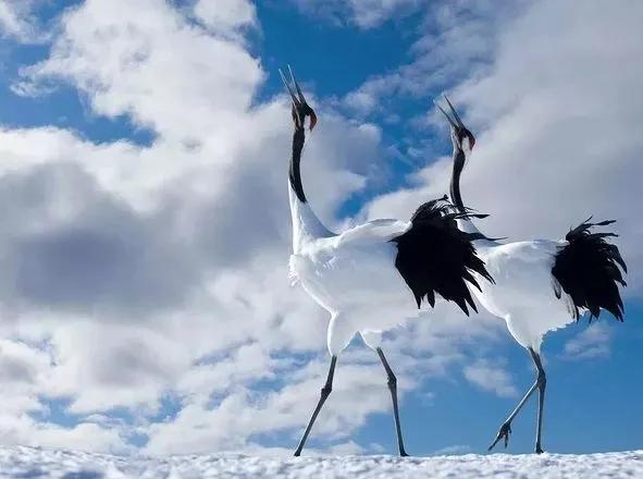 学会释然是治愈心疾的良方,疗愈心灵的学会宽恕的书