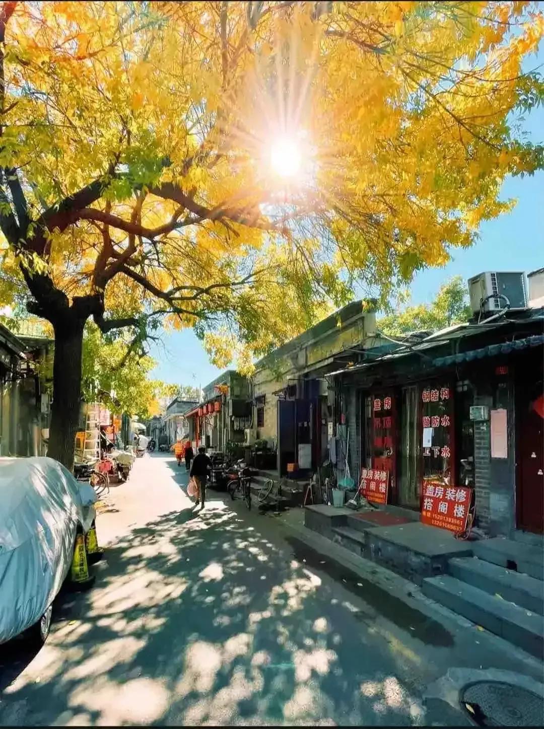 花千骨花絮,小百花花絮