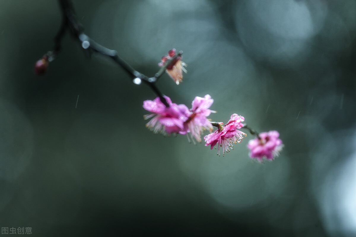 老了老伴走了剩下一个人怎么办,如果老伴走了你要做好四件事