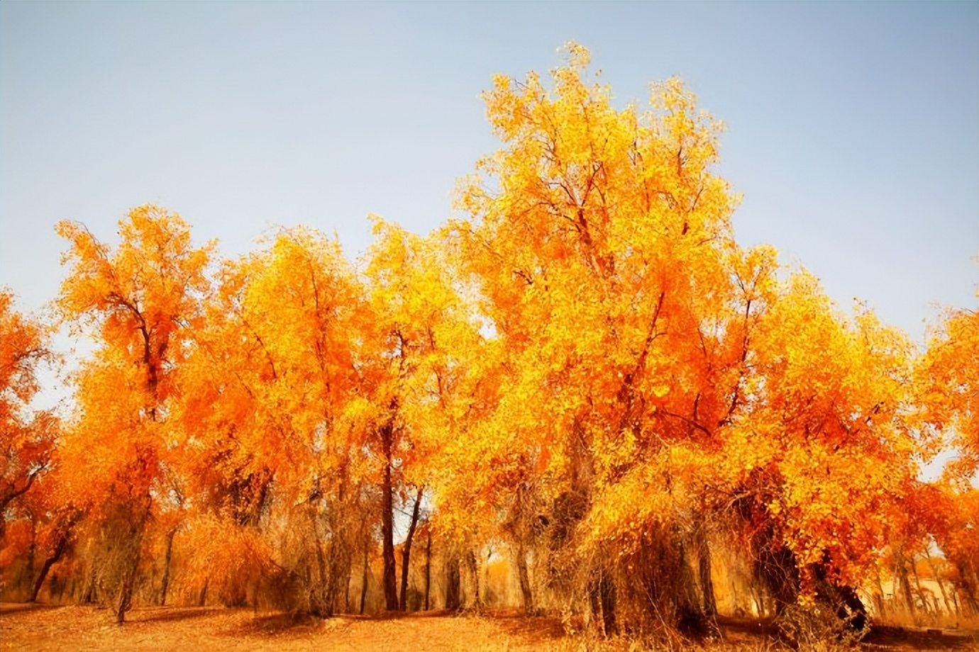 环游新疆15天,环游南疆8天攻略