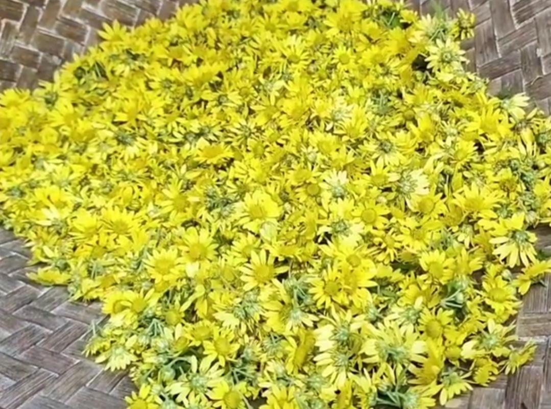 适合秋季喝的八种花茶,这些小众茶你喝过几种