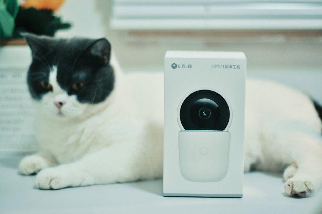 oppo智美生活摄像头2k云台版,oppo智美生活智能摄像头怎么安装