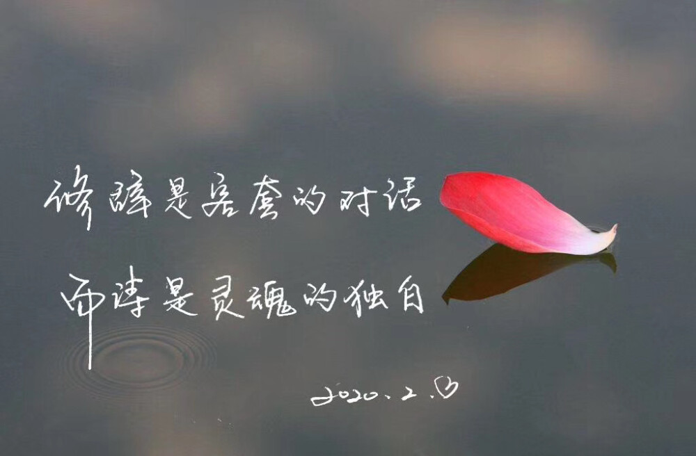 静待人间十一月，只愿，明朝清风吹晨夕，日子可静也可安