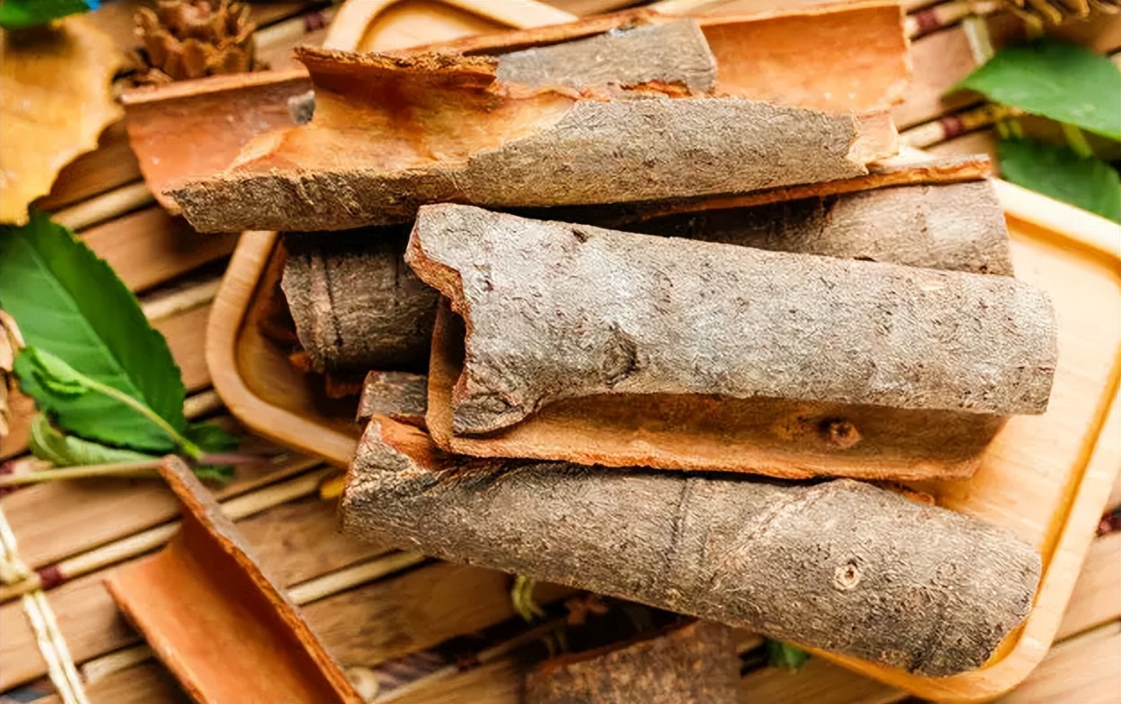 桂皮是桂花树还是桂圆树,剥桂皮后桂树会死吗