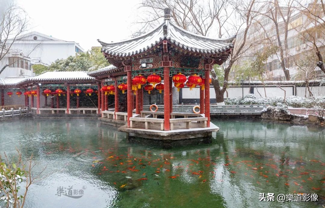 济南的冬天导语,济南的冬天满眼荒凉