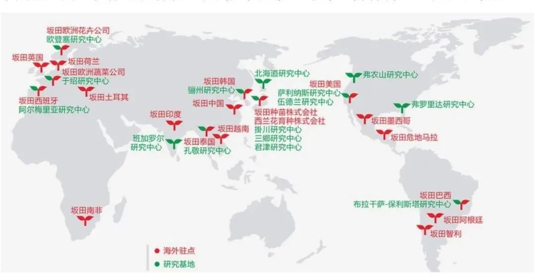 鍐滅鏅哄簱鍘熷垱鎶ュ憡,鍐滅鏅哄簱