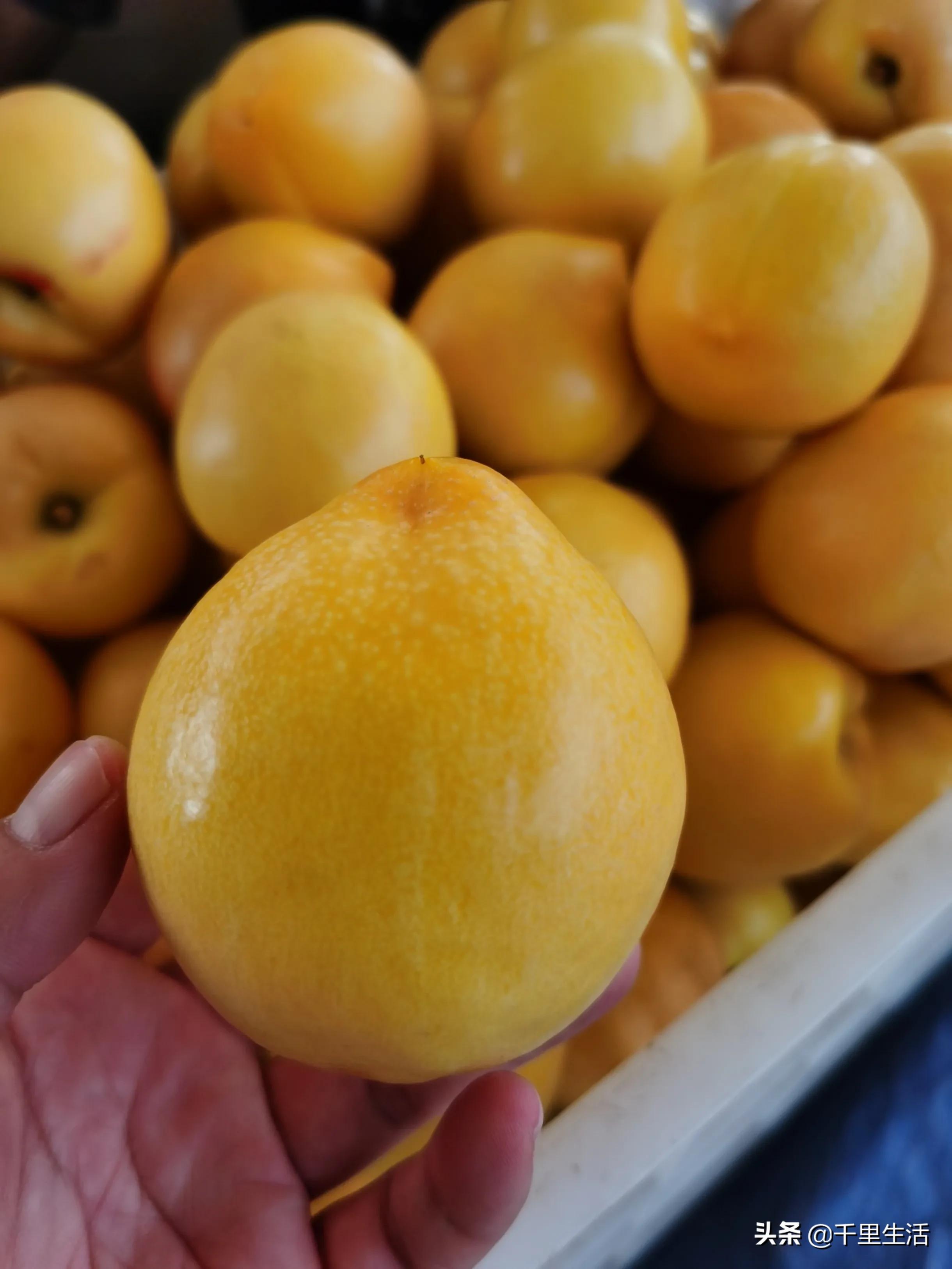 现摘正宗山东蒙阴脆甜黄油桃,山东蒙阴蜜桃之乡的桃子上市啦