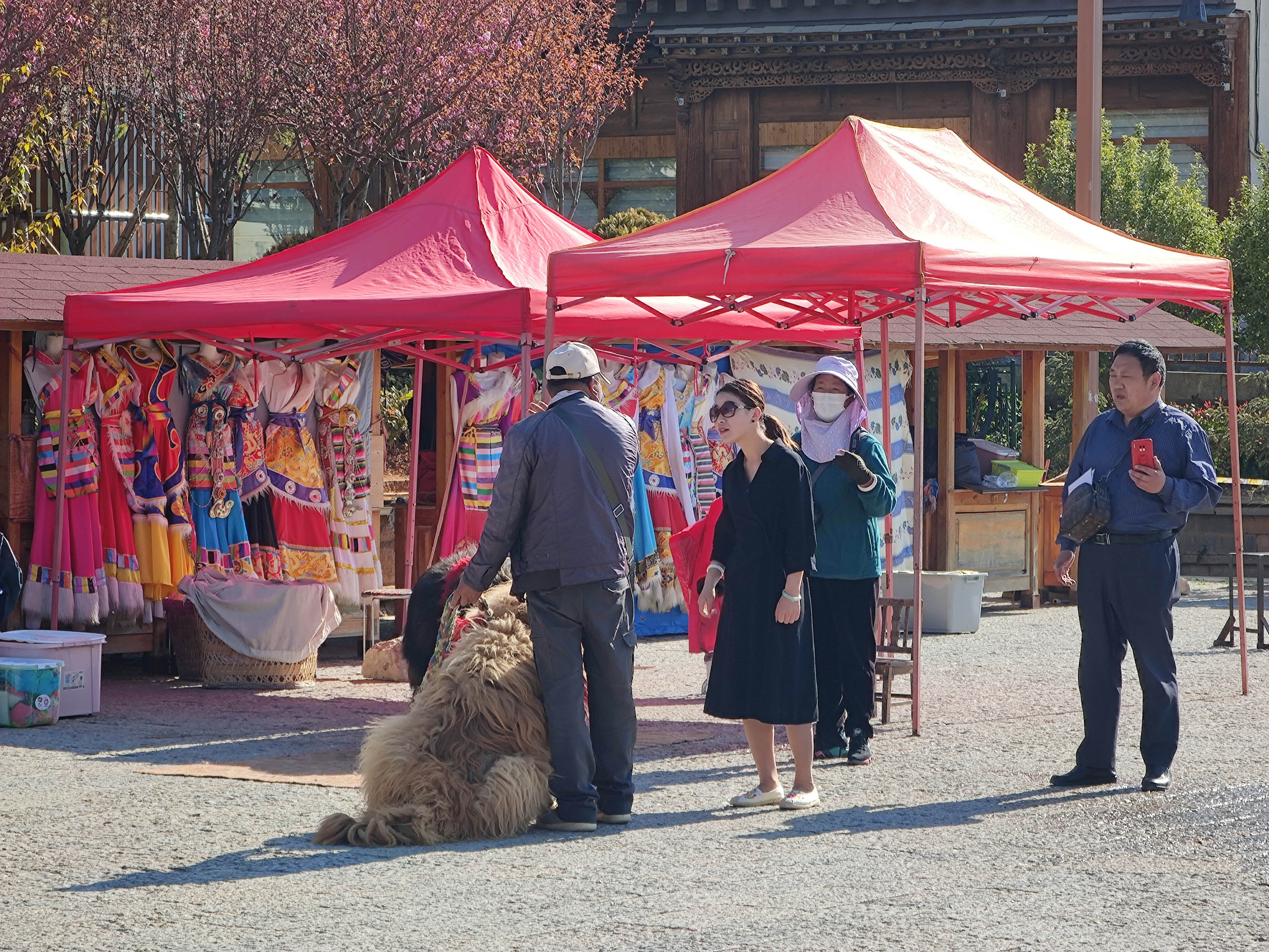 去云南跟团一日游攻略图片大全集,云南跟团六日游攻略大全图片