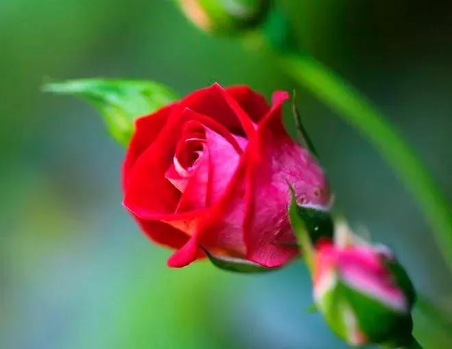 家庭和睦夫妻同心就是最好的风水,家庭和睦夫妻同心才是上等风水