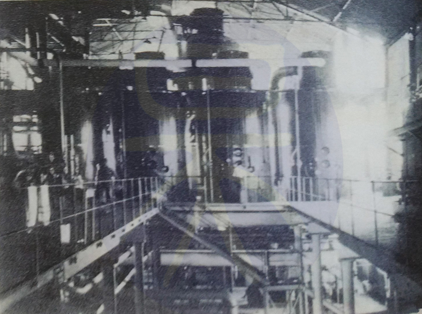 中国制糖业历史,上一世纪五十年代广东十大糖厂