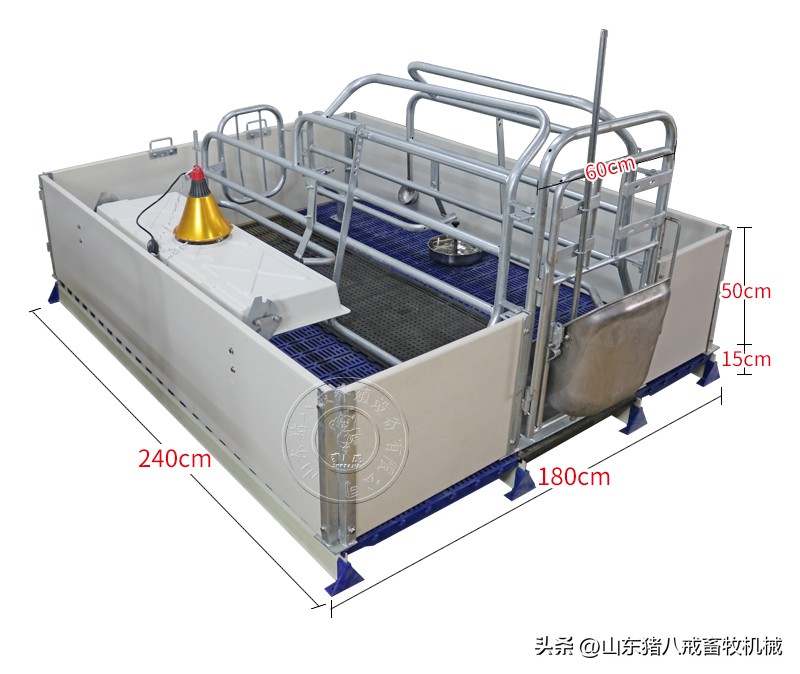 洛阳欧式母猪保育一体产床,漯河欧式母猪保育一体产床