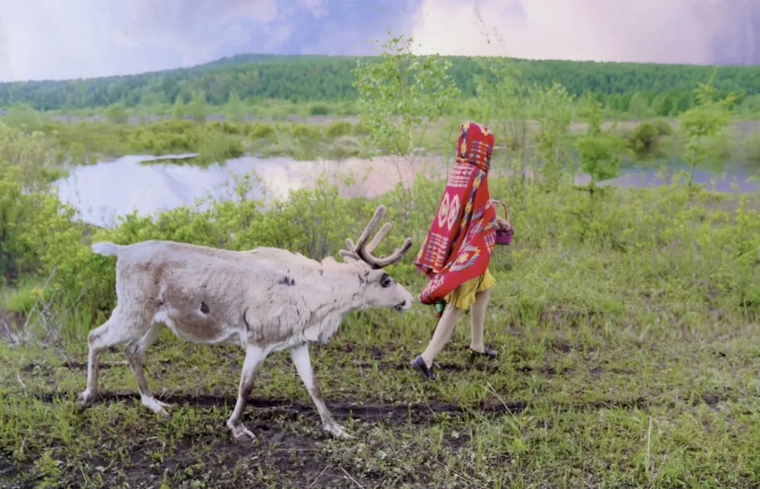 呼伦贝尔打卡餐厅,呼伦贝尔旅游美食推荐
