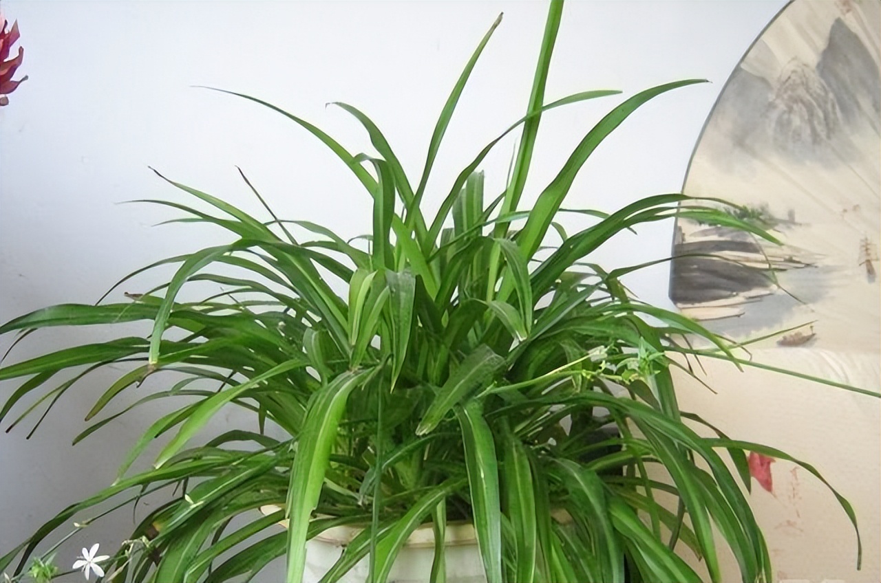 新房装修家具要怎么去除甲醛,装修后可以用地暖去除甲醛吗