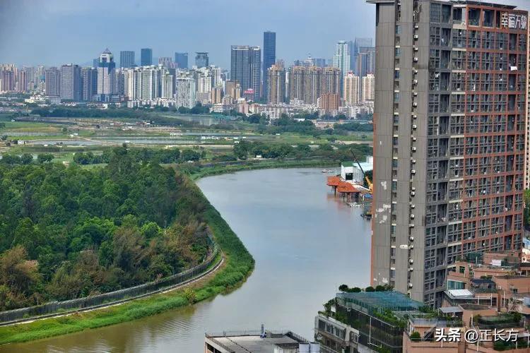 源源活水深圳河!(二)