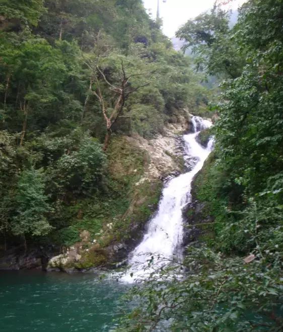 张家界旅游十大特点介绍图片简单,张家界四季图