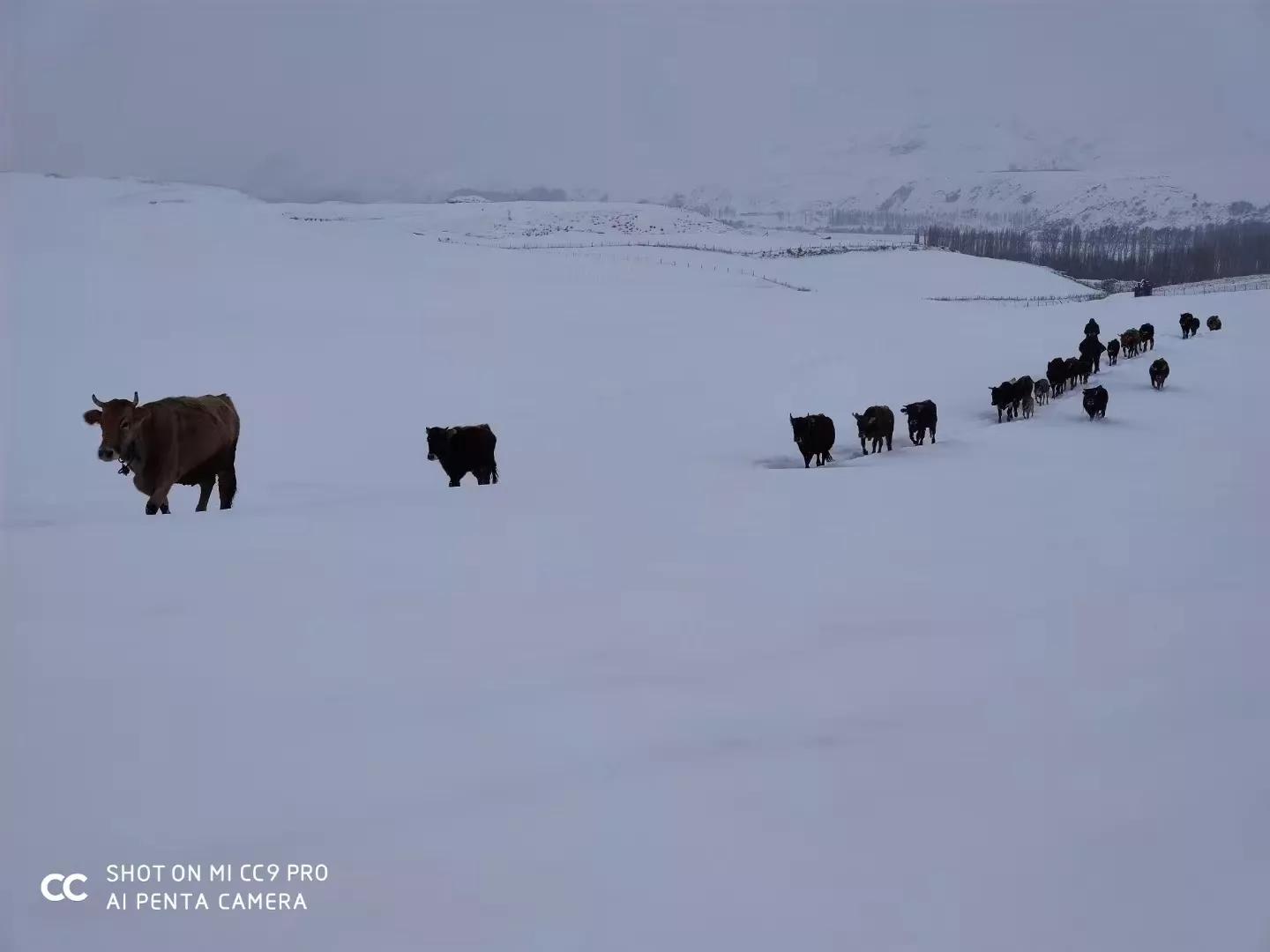 股票套牢怎么自救散户,股票被套如何解套