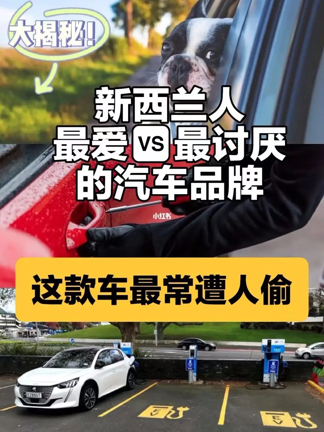 澳大利亚最容易被盗的车型,新西兰哪个品牌车耐用