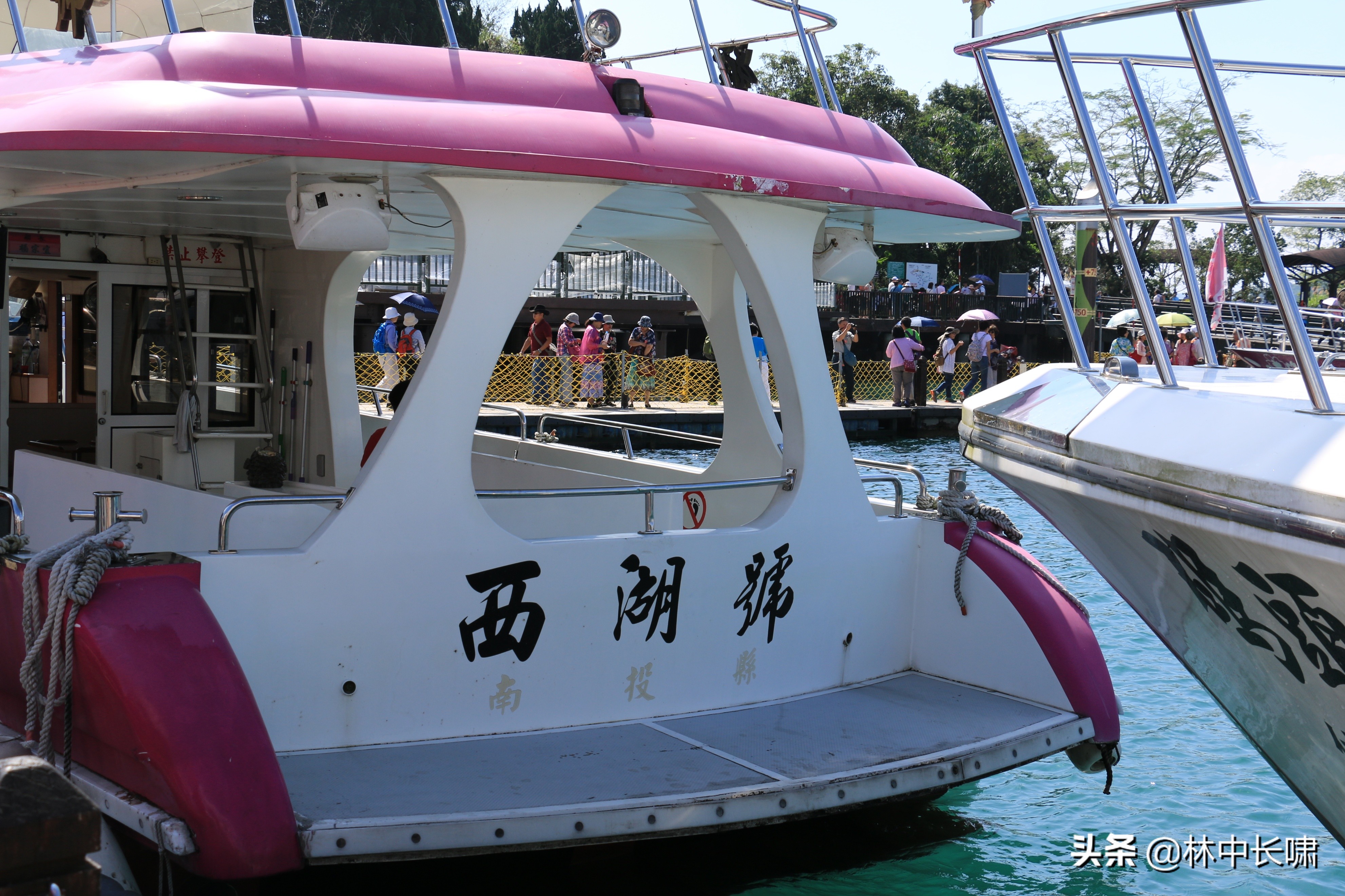 日月潭的茶叶蛋,正宗日月潭香菇茶叶蛋