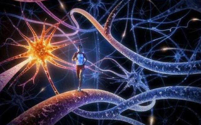 gmh多导脑神经康复体系,gmh多导神经修复术靠谱吗