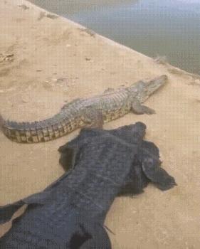 搞笑图片发烧,小女孩gif搞笑动态图片大全