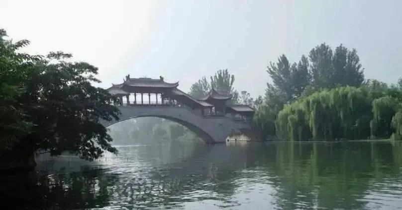 上山下乡五十周年礼赞,知青上山下乡五十周年盛会