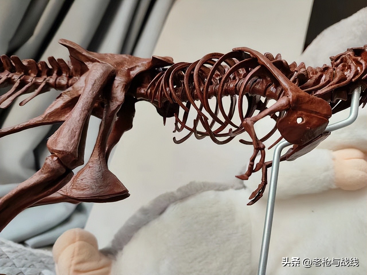 如何制作霸王龙骨架,用硬纸板做霸王龙骨架教程