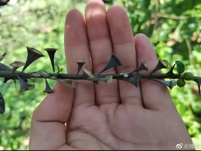 每日一笑最新段子,段子每日一笑