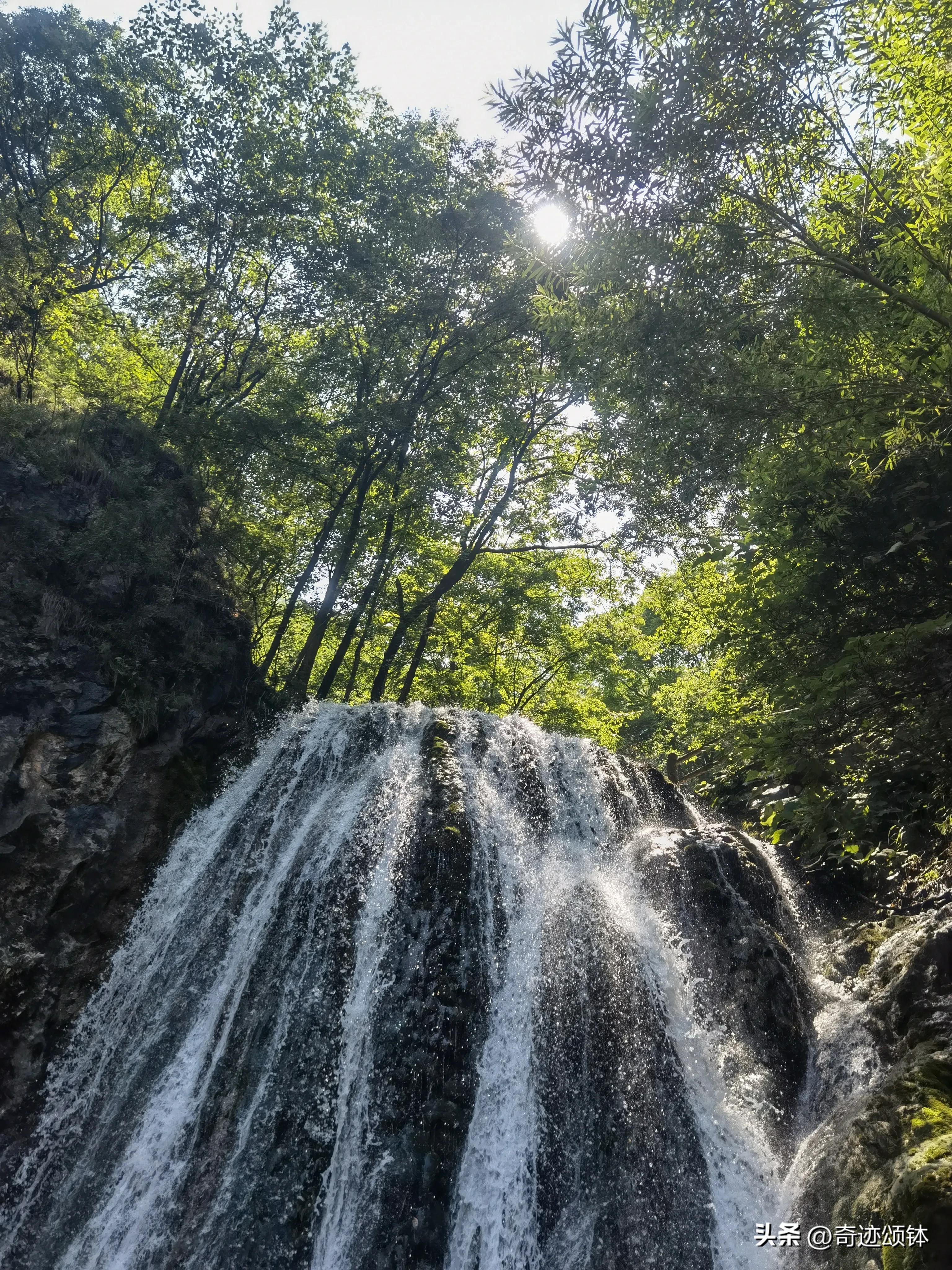 山有木兮木有枝全文,山有木兮木有枝完整诗词